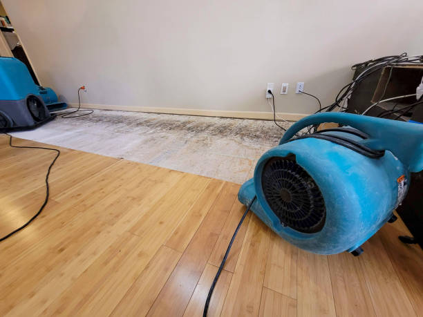Reliable Burst Pipe Water Damage contractor in Big Bear Lake, CA by Hirex Water Damage
