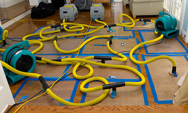 Professional Burst Pipe Water Damage technician working in Big Bear Lake, CA